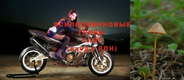гашиш Аркадак