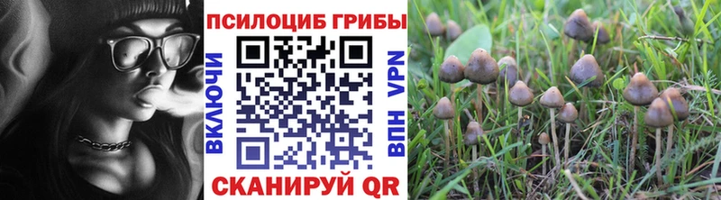 Псилоцибиновые грибы прущие грибы  Нижняя Салда 
